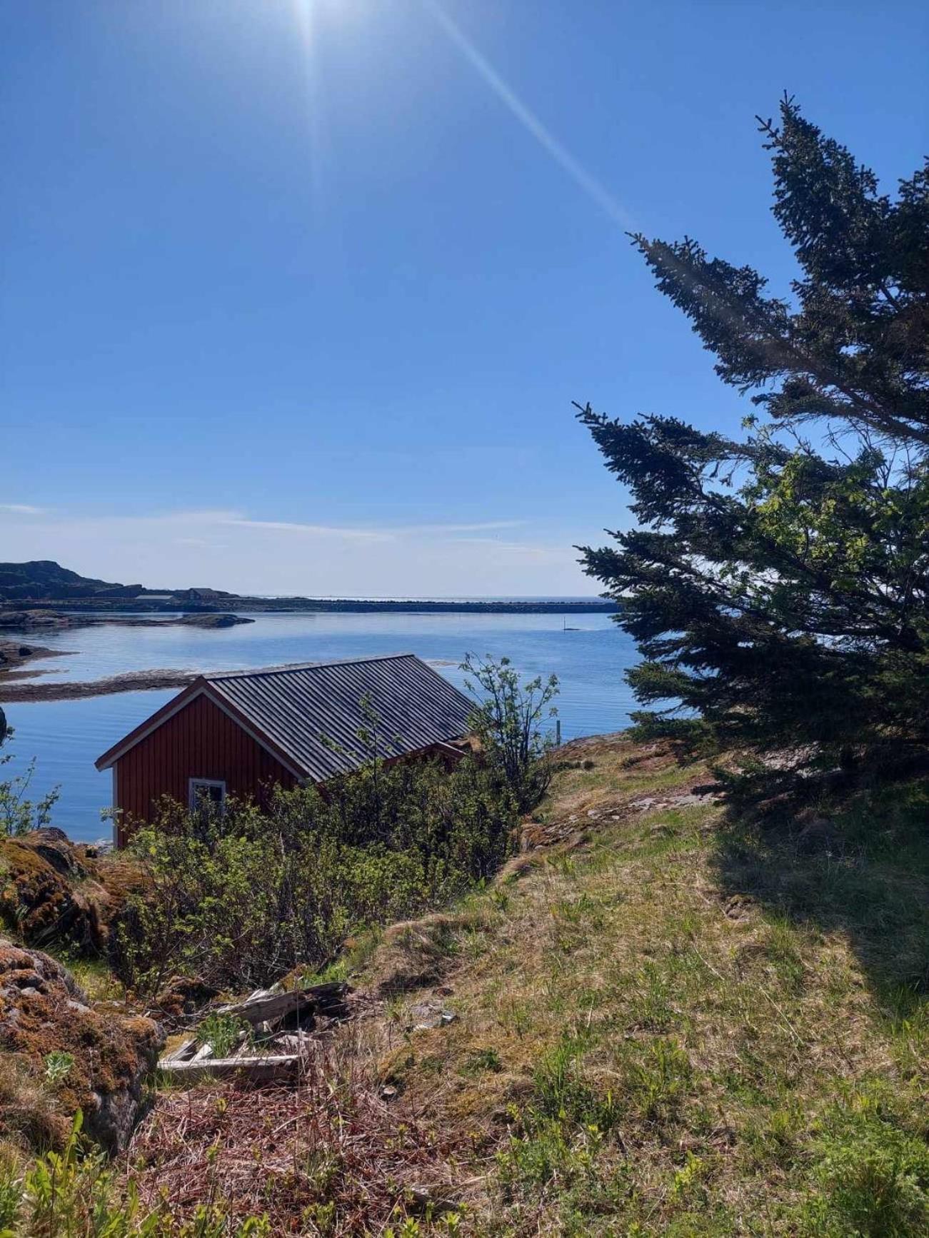 Moskenes Vacation Homes Bagian luar foto